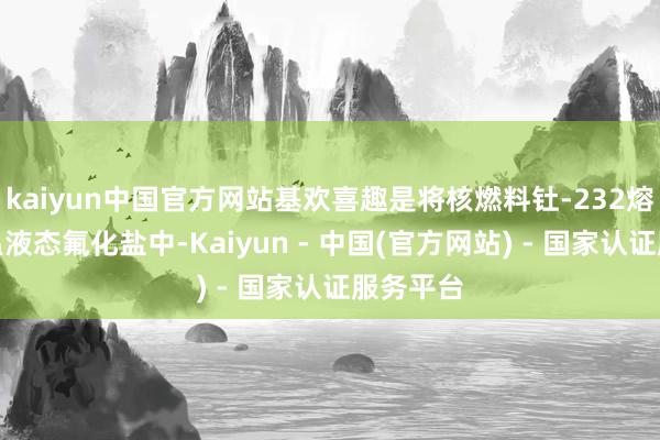 kaiyun中国官方网站基欢喜趣是将核燃料钍-232熔化在高温液态氟化盐中-Kaiyun - 中国(官方网站) - 国家认证服务平台
