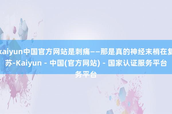 kaiyun中国官方网站是刺痛——那是真的神经末梢在复苏-Kaiyun - 中国(官方网站) - 国家认证服务平台